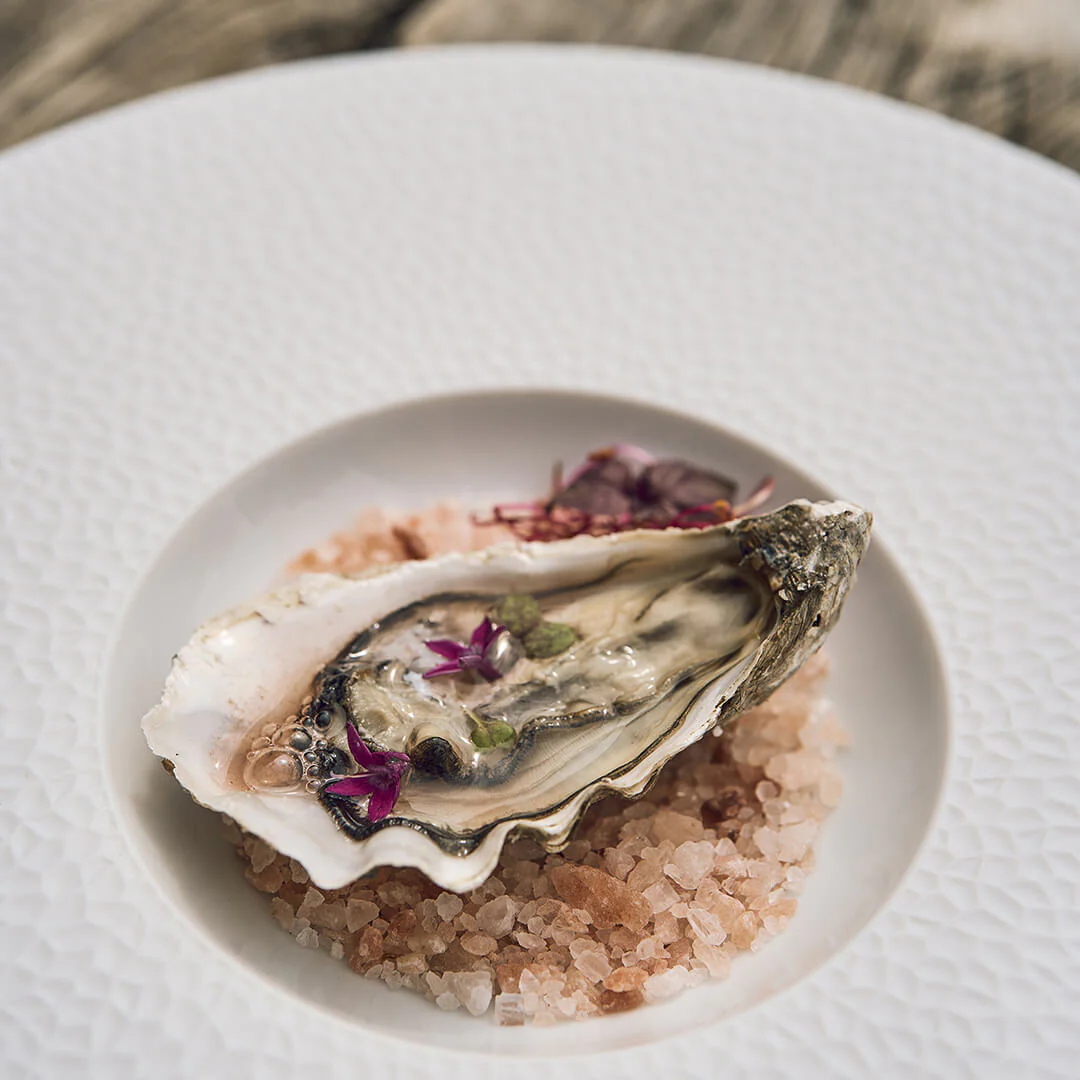 COLLECTION L FRAGMENT BLANC Assiette gourmet petit bassin 27.9 cm - Image 3
